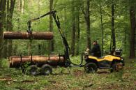 Съоръжения за преместване на дървени трупи